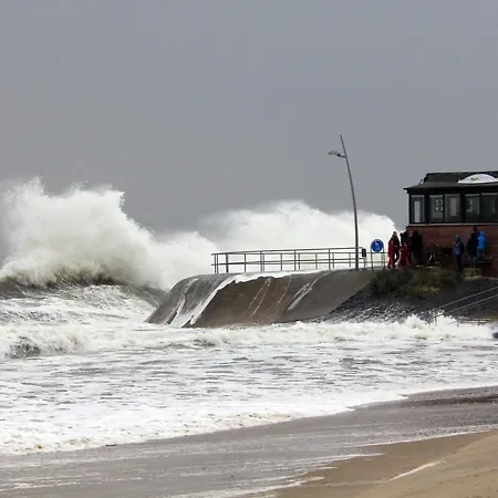 Loose 3* Borkum